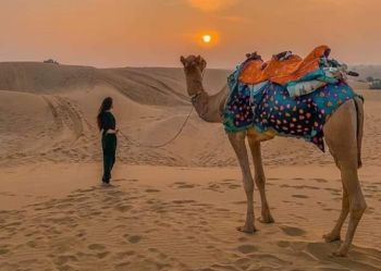 Camel Ride Khuri Sand Dunes