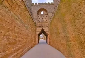 Intricate architectural details and stone carvings inside a historic Gujarat monument, featured on the 10 Days Gujarat Discovery Tour.