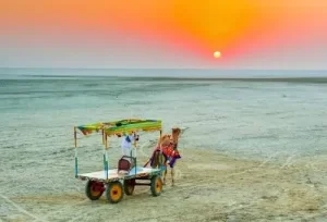 5 Days Colours of Gujarat Tour package featuring a breathtaking sunset view over the vast, shimmering salt flats of the White Rann of Kutch.