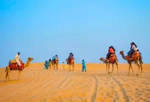 A thrilling camel safari across the golden sand dunes of the Thar Desert at sunset, featured on the 8 Days Gujarat Rajasthan Desert Tour.