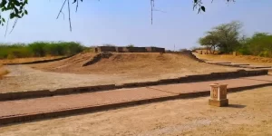 The geometric brick foundations and excavated urban ruins of the Lothal archaeological site, explored during a private Indus Valley day trip from Ahmedabad.