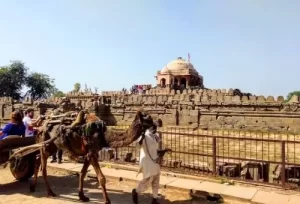 A traditional camel cart riding outside the ancient Chand Baori stepwell in rural Rajasthan, experienced during an Abhaneri day trip from Delhi.