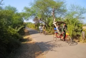 Tourists enjoying a guided eco-friendly rickshaw safari through the wetland trails of Keoladeo National Park, explored during a same-day Bharatpur nature trip from Agra.