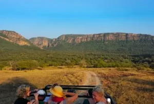 View of the dry deciduous forest and rugged trails from an open-top Gypsy during a wildlife jungle safari at Sariska Tiger Reserve, explored on a day trip from Delhi.